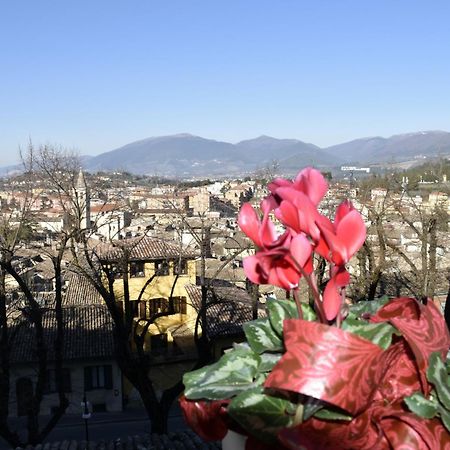 Le Mura Antiche Spoleto Esterno foto